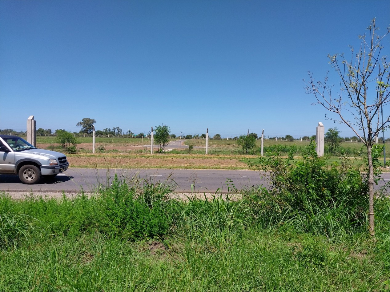 VENTA TERRENO VIDA JARDIN 803 M2