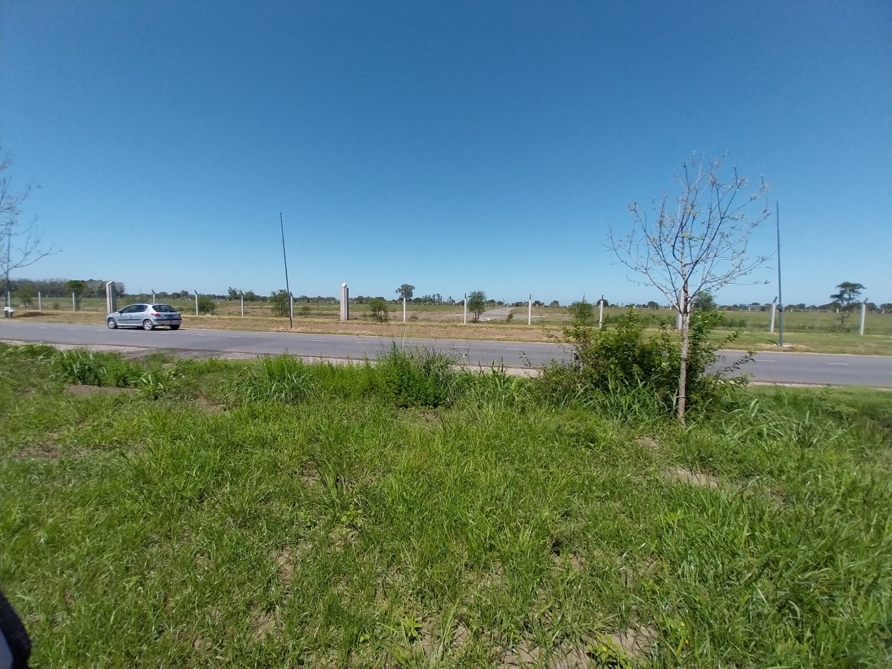 VENTA TERRENO VIDA JARDIN 803 M2