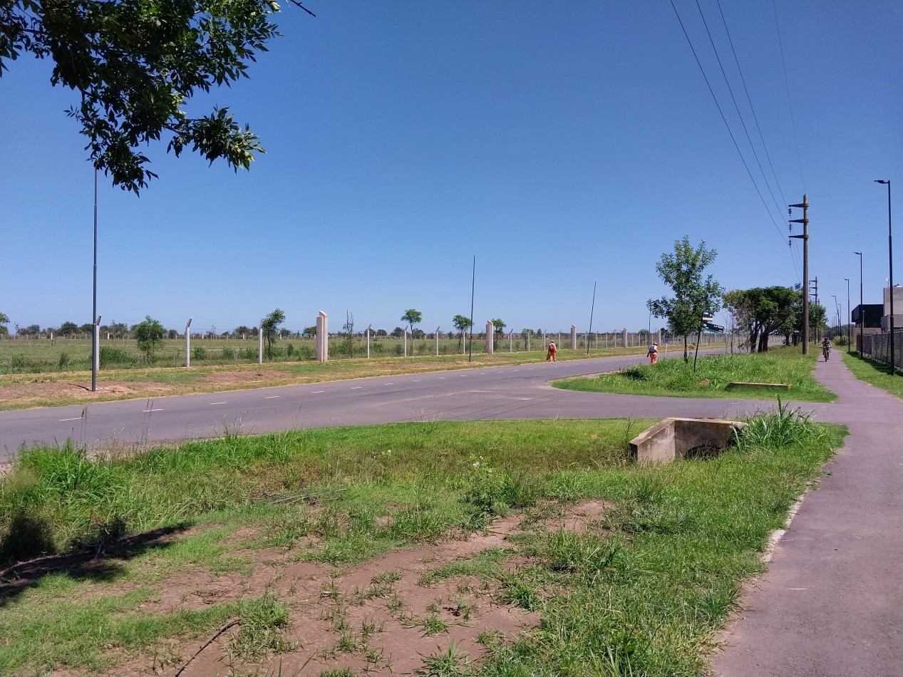 VENTA TERRENO VIDA JARDIN 803 M2