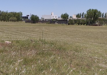 VENTA TERRENO LAS TARDES BARRIO ABIERTO ROLDAN