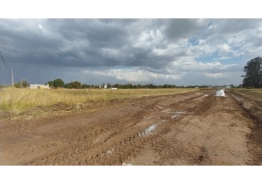 FUNES VENTA TERRENO  BARRIO ABIERTO LOS GIRASOLES AVENIDA FUERZA AEREA Y LOS GIRASOLES 